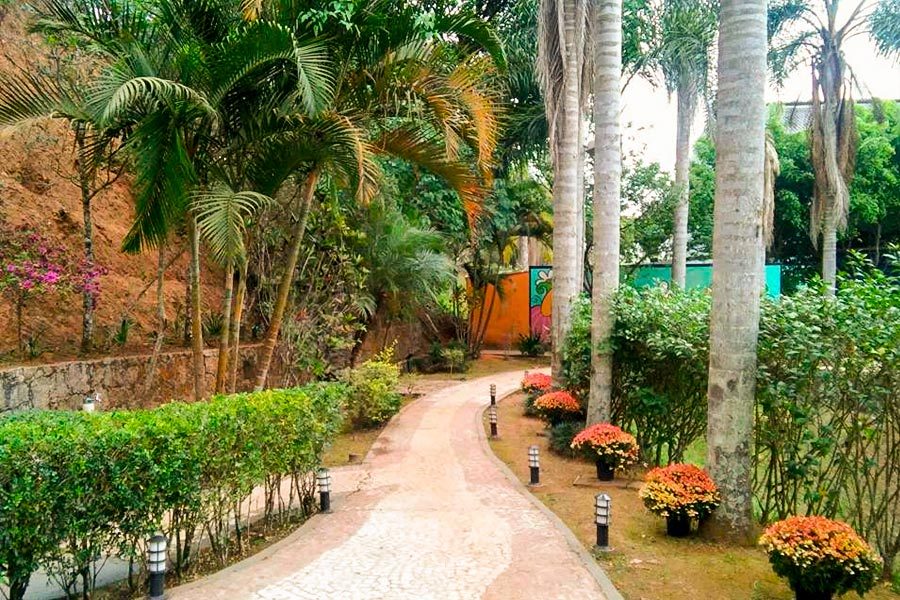 Caminho pelo jardim tropical