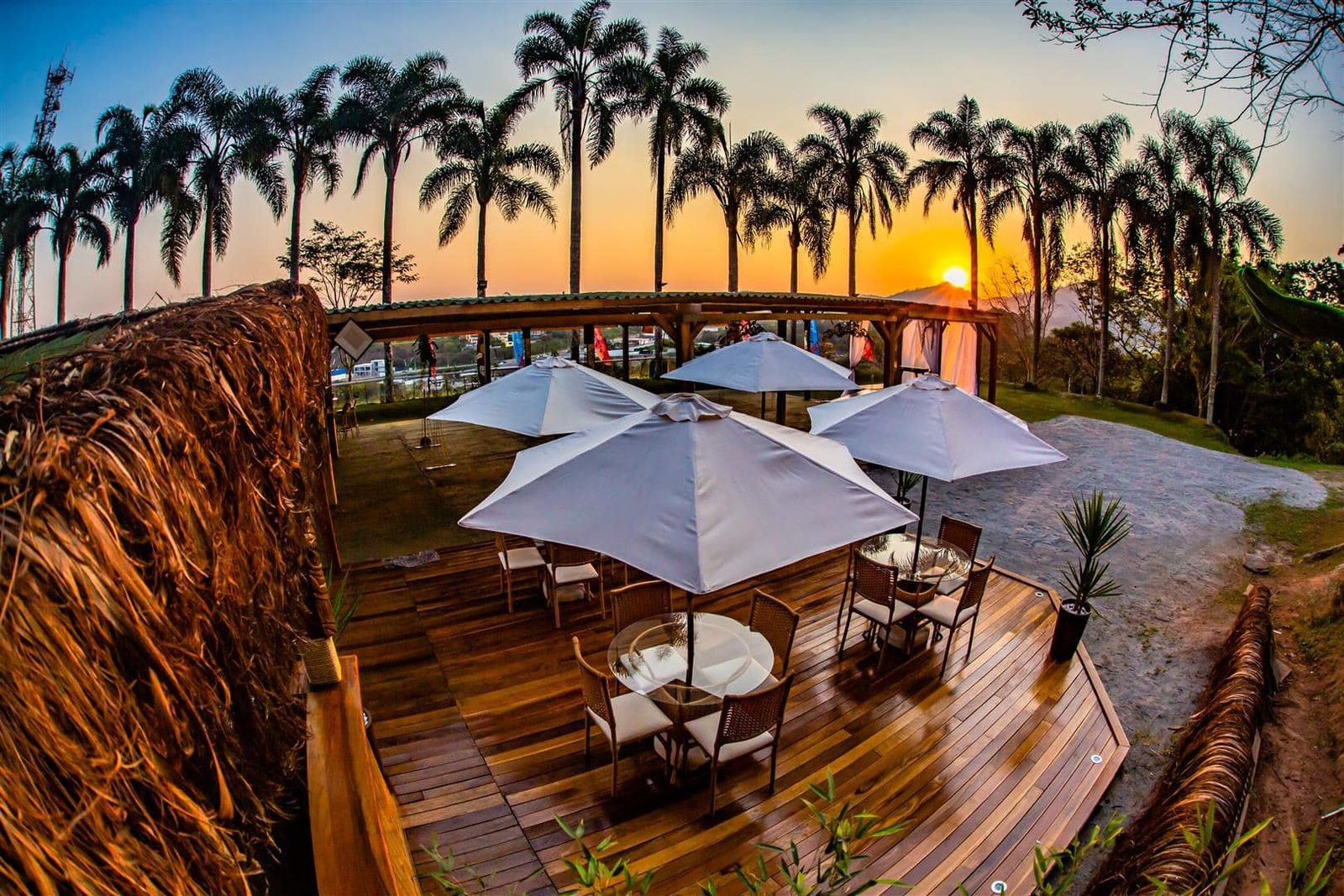 Deck com guarda-sóis e palmeiras ao pôr do sol