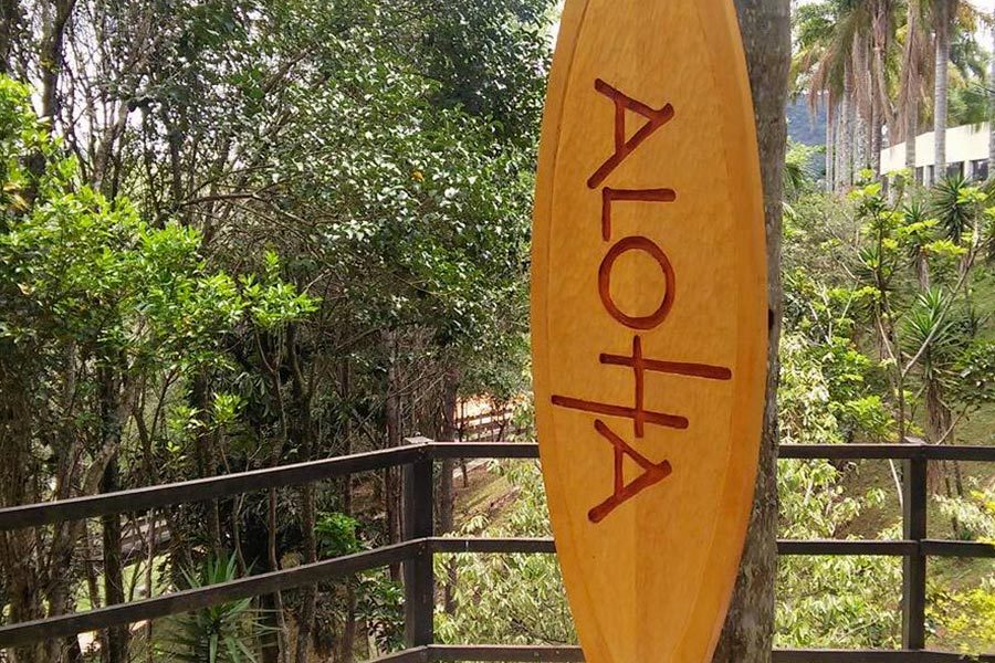 Prancha com o nome Aloha em meio à mata